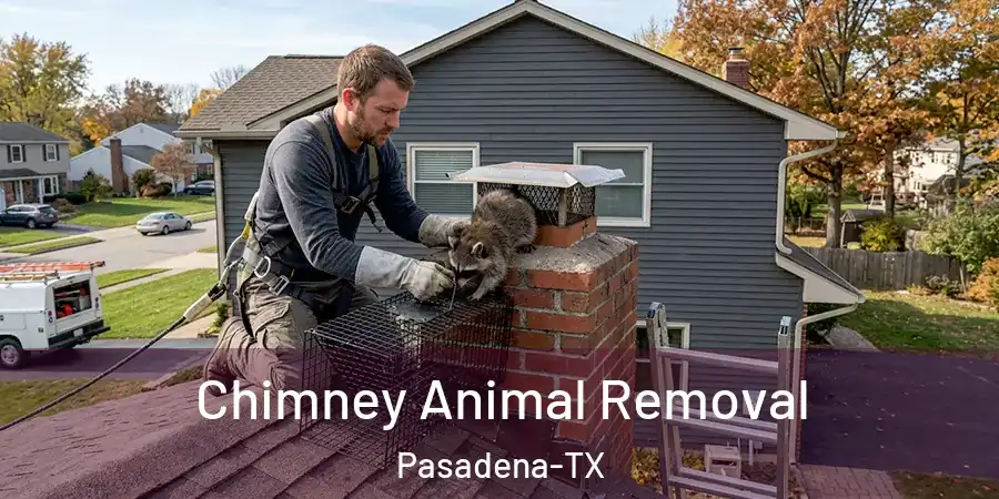  Chimney Animal Removal Pasadena-TX